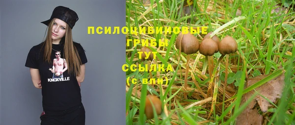 a pvp Арсеньев