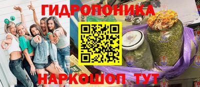 МДПВ Пенза