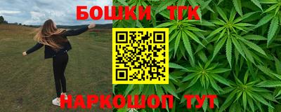 МДПВ Пенза