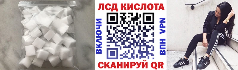 где продают наркотики  Волхов  Лсд 25 экстази ecstasy 