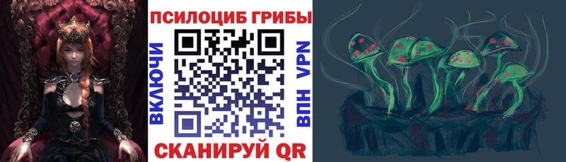 наркошоп  Волхов  Галлюциногенные грибы Psilocybe 