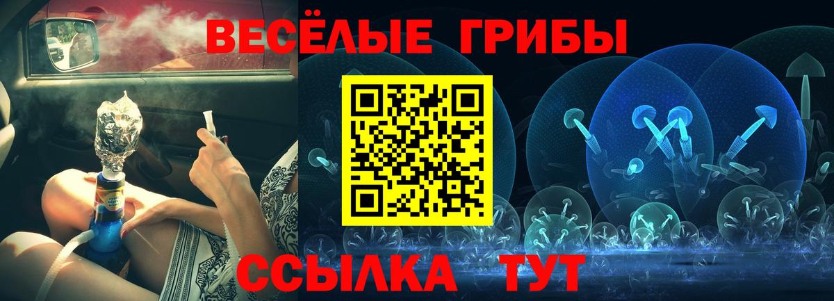 Галлюциногенные грибы Psilocybe  Вход с VPN  Волхов 