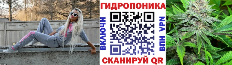 где купить Волхов Шишки марихуана THC 21%